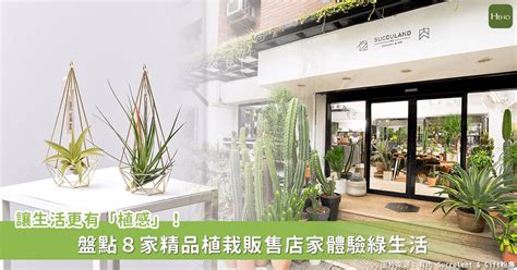 店面植物|店門口植物選購指南